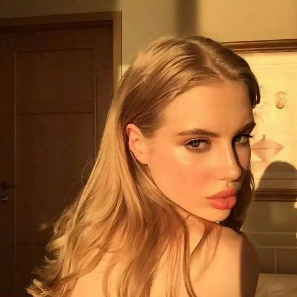 小森林素材铺 第44张.jpeg