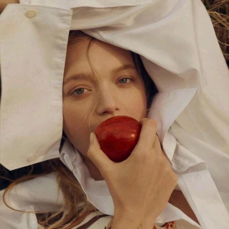 小森林素材铺 第45张.jpg