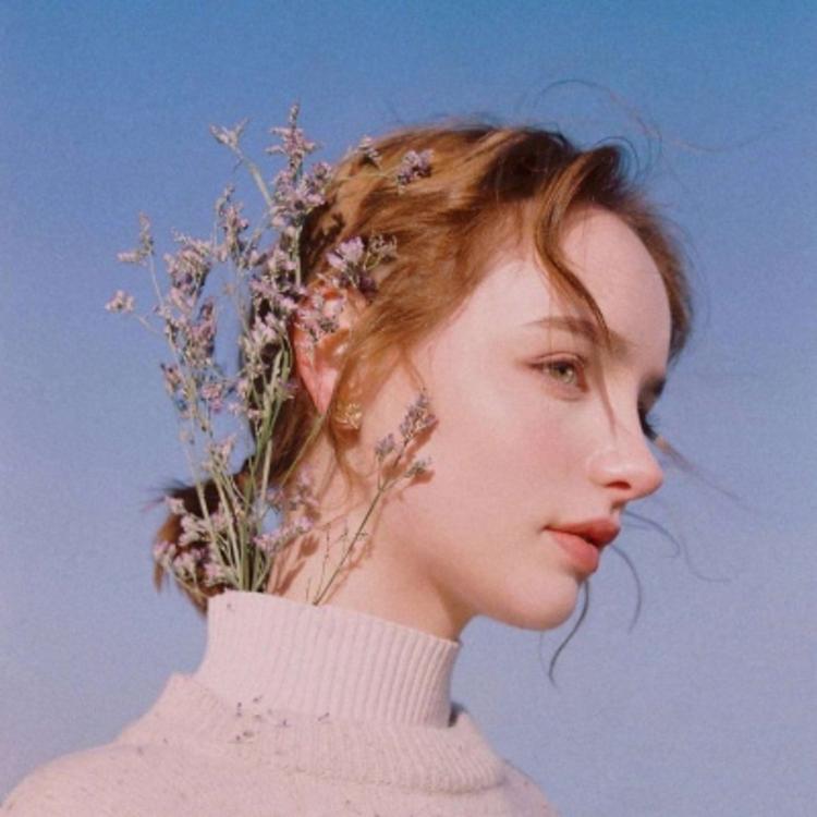 小森林素材铺 第50张.jpg