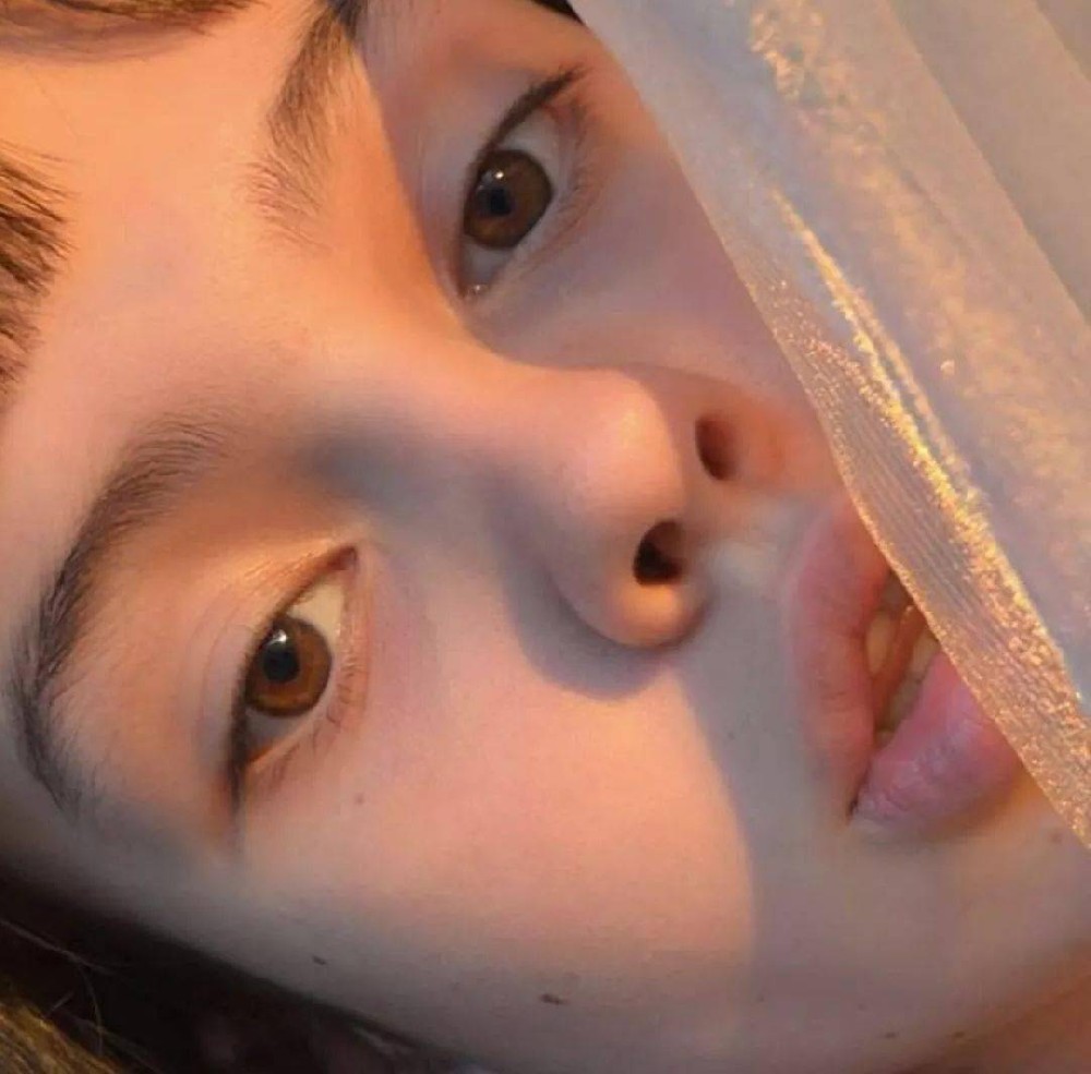 小森林素材铺 第53张.jpeg