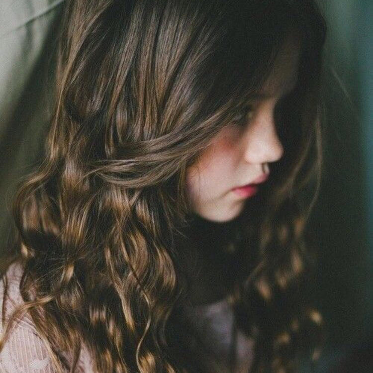 小森林素材铺 第134张.jpg