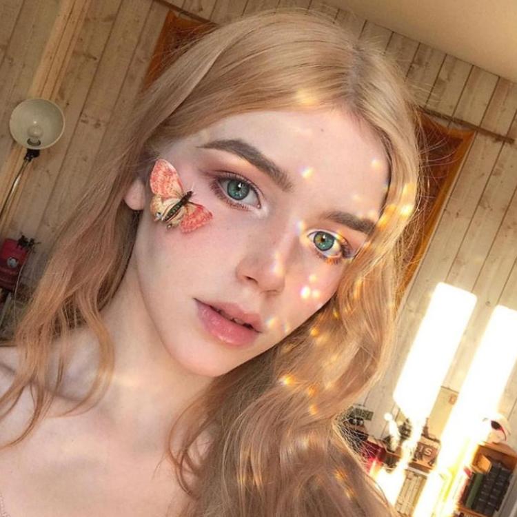 小森林素材铺 第7张.jpg